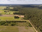 Pamatai gręžtiniai su rostverku, medinis - nuotraukos Nr. 27