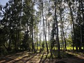 Šalia Didžiosios Riešės miško parduodamas - nuotraukos Nr. 7