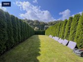 Išskirtinis 3 Kambarių Kotedžas Su Erdvią - nuotraukos Nr. 26