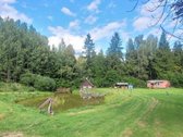 Parduodamas miško apsuptyje erdvus sklypas su - nuotraukos Nr. 2