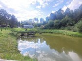 Parduodamas miško apsuptyje erdvus sklypas su - nuotraukos Nr. 6