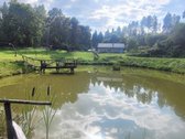 Parduodamas miško apsuptyje erdvus sklypas su - nuotraukos Nr. 7