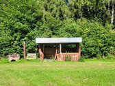 Parduodamas miško apsuptyje erdvus sklypas su - nuotraukos Nr. 9