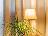 Parduodamas Jaukus 2 Kambarių Butas Panemunėje - nuotraukos Nr. 13