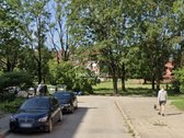 Retai rinkoje pasitaikantis variantas – - nuotraukos Nr. 14