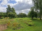 Parduodamas 5,93 a Sodo Sklypas Vaiteliuose – - nuotraukos Nr. 3