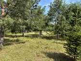 Parduodamas 12.5a Skypas Su Parengtu 158 Kv.m - nuotraukos Nr. 3