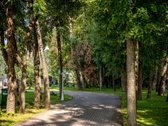 Parduodamas namas Didžiojoje Riešėje – pilna - nuotraukos Nr. 30