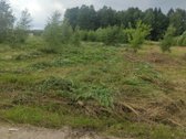 Parduodamas erdvus 19,50 aro žemės sklypas - nuotraukos Nr. 2