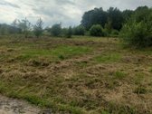 Parduodamas erdvus 19,50 aro žemės sklypas - nuotraukos Nr. 3
