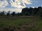 Parduodamas erdvus 19,50 aro žemės sklypas - nuotraukos Nr. 6