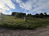 Parduodamas erdvus 19,50 aro žemės sklypas - nuotraukos Nr. 9