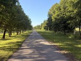 Parduodamas namų valdos sklypas vaizdingoje - nuotraukos Nr. 7