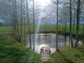 Parduodamas prižiūrėtas gyvenamasis namas - - nuotraukos Nr. 14