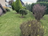 Parduodamas 4 Kambarių Namas Su Dideliu - nuotraukos Nr. 12
