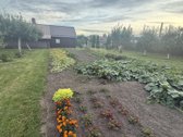 Parduodamas 4 Kambarių Namas Su Dideliu - nuotraukos Nr. 29