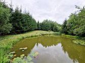 Puikus Pasiūlymas Kokybiškam Poilsiui Ar - nuotraukos Nr. 12