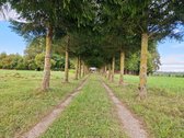 Puikus Pasiūlymas Kokybiškam Poilsiui Ar - nuotraukos Nr. 17