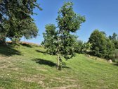 Parduodamas sklypas Trakų rajone (šalia - nuotraukos Nr. 15