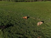 Įsivaizduokite rytą, kai atsikėlę atsiveriate - nuotraukos Nr. 7
