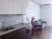 Išnuomojamas 29 m² butas Žirmūnuose – su - nuotraukos Nr. 3