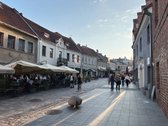 Šis ramiame ir žaliame vidiniame senamiesčio - nuotraukos Nr. 15
