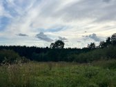 Parduodamas sklypas su 80m2 + antresolės namo - nuotraukos Nr. 3