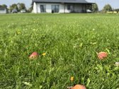 Nuomojamas namas, esantis ramioje vietoje, - nuotraukos Nr. 37