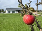 Nuomojamas namas, esantis ramioje vietoje, - nuotraukos Nr. 36