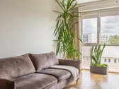 Parduodamas erdvus 3 kambarių butas Šiaurės - nuotraukos Nr. 5