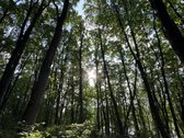Išnuomojamas Visiškai Naujas 2 Kambarių Butas - nuotraukos Nr. 8