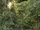 Išnuomojamas Visiškai Naujas 2 Kambarių Butas - nuotraukos Nr. 9