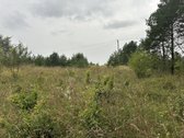 Parduodamas žemės ūkio sklypas 98a Vilniaus r - nuotraukos Nr. 6