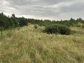 Parduodamas žemės ūkio sklypas 98a Vilniaus r - nuotraukos Nr. 5