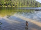 Parduodamas naujos statybos poilsio / - nuotraukos Nr. 30