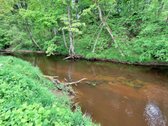 Širvintų rajone, Navasiolkų kaime, prie - nuotraukos Nr. 3