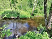 Širvintų rajone, Navasiolkų kaime, prie - nuotraukos Nr. 5
