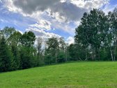 Širvintų rajone, Navasiolkų kaime, prie - nuotraukos Nr. 4