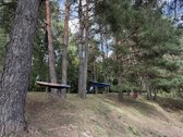 Sodyba su nuosavu mišku – 1,3 ha sklypas vos - nuotraukos Nr. 8