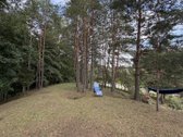 Sodyba su nuosavu mišku – 1,3 ha sklypas vos - nuotraukos Nr. 9