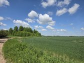 Vilniaus rajone netoli Paberžės esančiame - nuotraukos Nr. 5