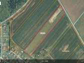 Parduodamas pigiai 1,67 ha žemės sklypas - nuotraukos Nr. 3