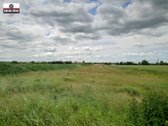 Parduodamas pigiai 1,67 ha žemės sklypas - nuotraukos Nr. 8