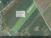 Parduodamas pigiai 1,67 ha žemės sklypas - nuotraukos Nr. 2