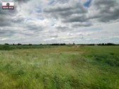 Parduodamas pigiai 1,67 ha žemės sklypas - nuotraukos Nr. 7