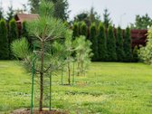 Erdvus 8 Kambarių Namas Slengiuose – 198,30 - nuotraukos Nr. 50