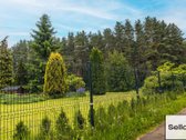  – Nt ekspertai be procentų - nuotraukos Nr. 21