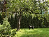 Parduodamas išskirtinis butas Žvėryne – - nuotraukos Nr. 3