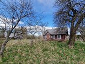 Kalvų, Klonių Ir Miškų Apsuptyje, Labanoro - nuotraukos Nr. 10