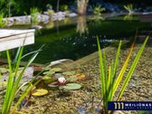 Unikalioje, prestižinėje vietoje (Tvenkinių g - nuotraukos Nr. 14